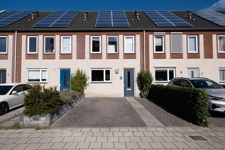 undefined main image