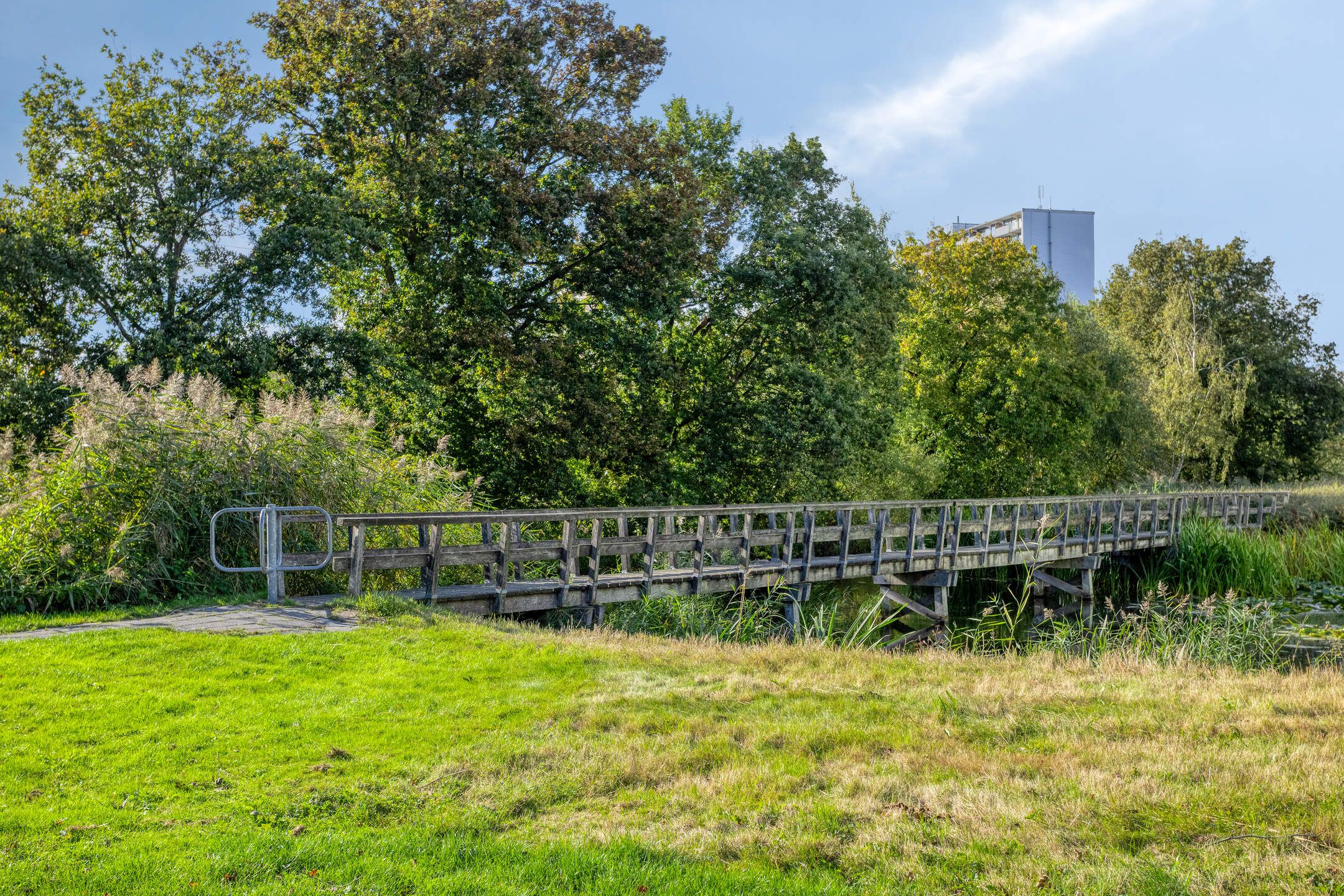 Foto 39 van Hesselstraat 17