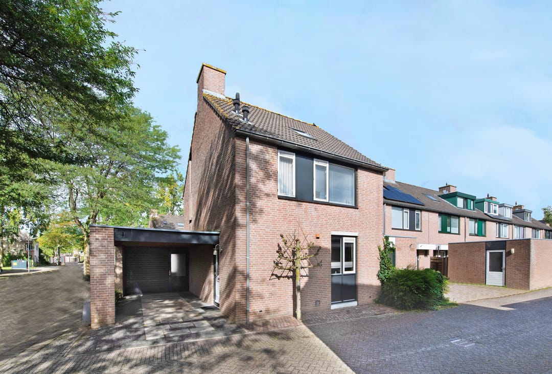 Foto 1 van Kopervlinder 1