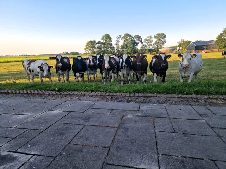 Foto 4 van Hoofdweg 75