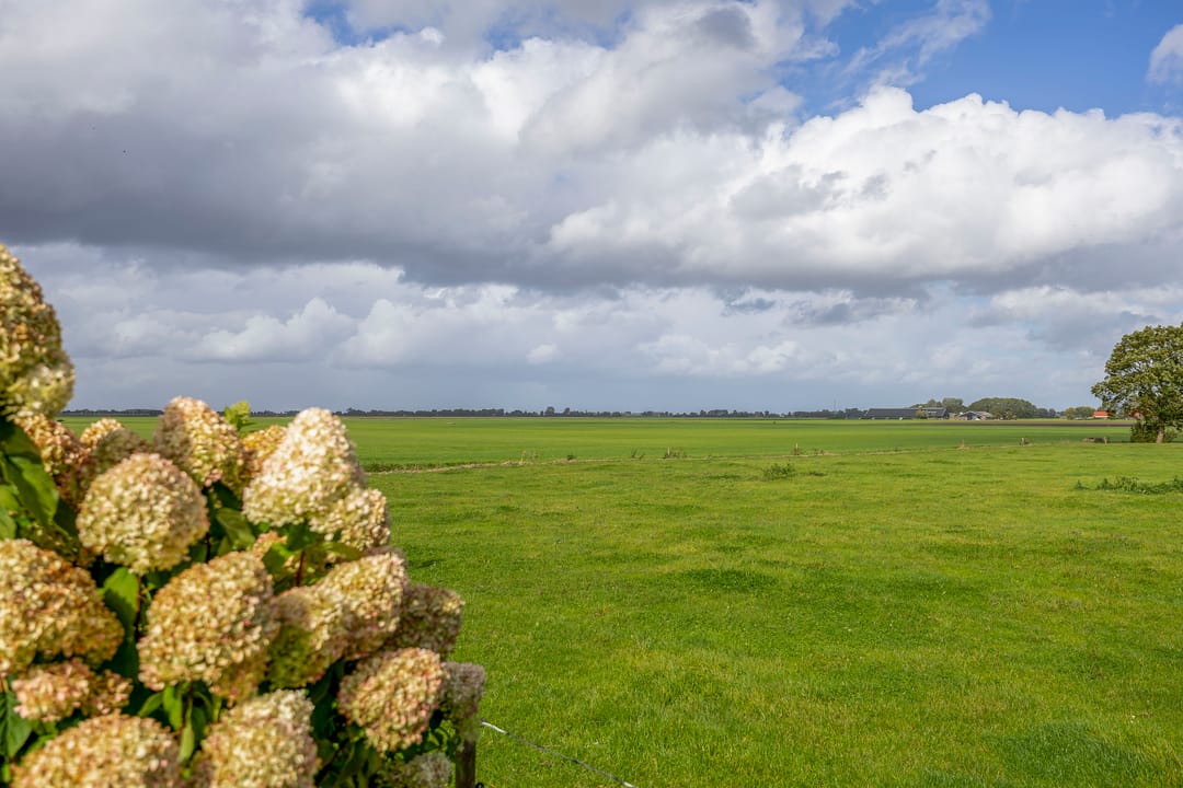 Foto 58 van Hoofdweg 75