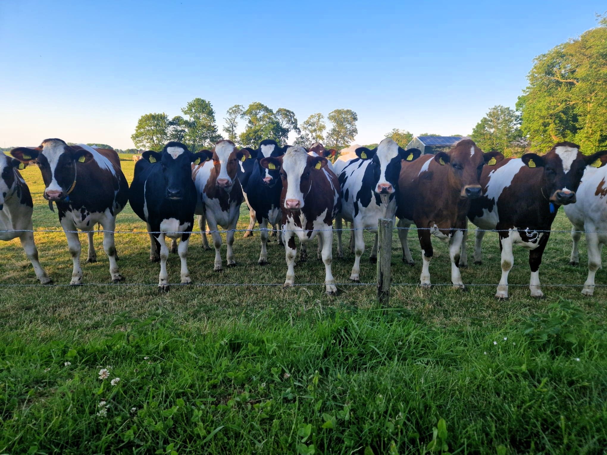 Foto 60 van Hoofdweg 75