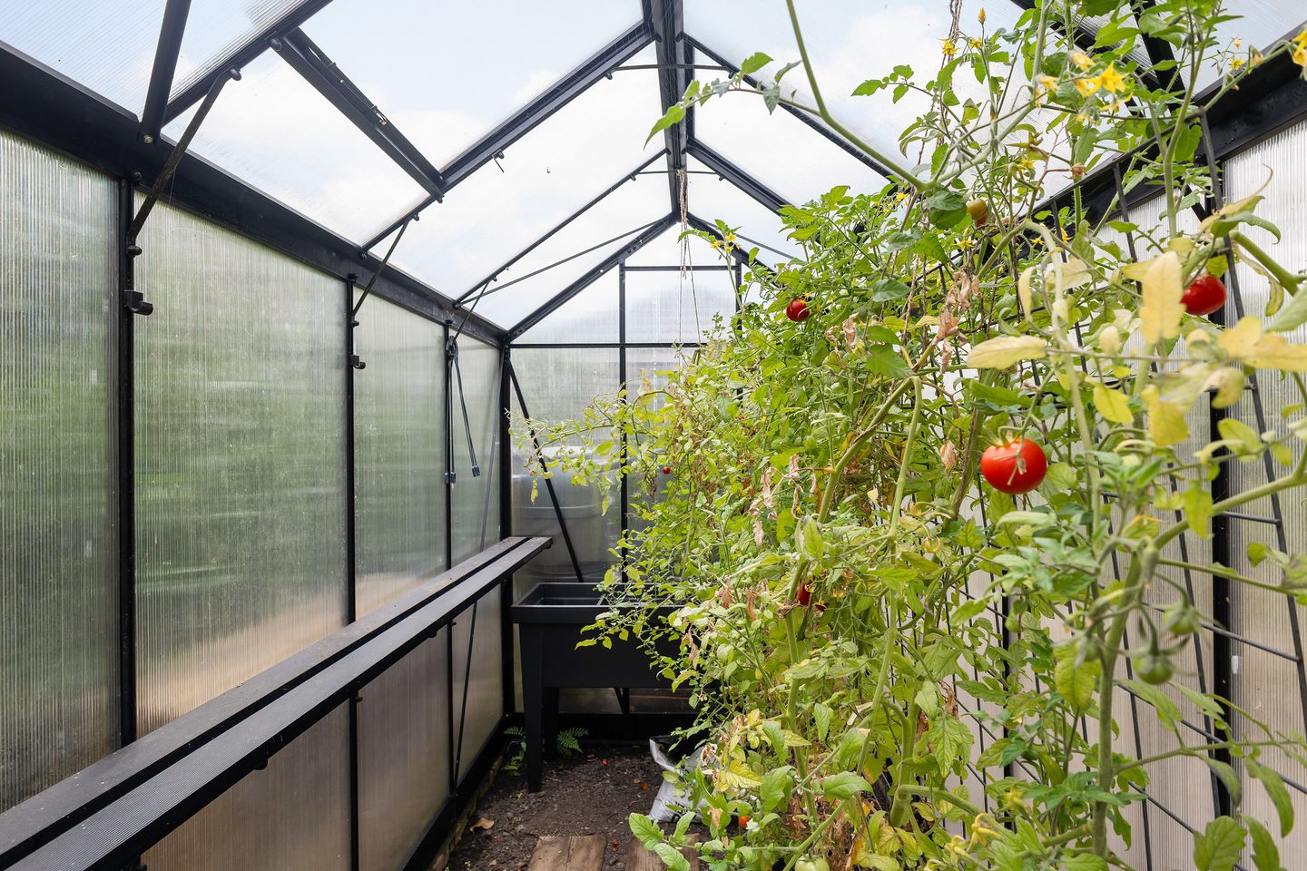 Photo 40 of Doerebout 22