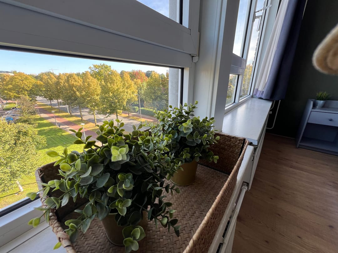 Photo 7 of Kortenaerstraat 2-D