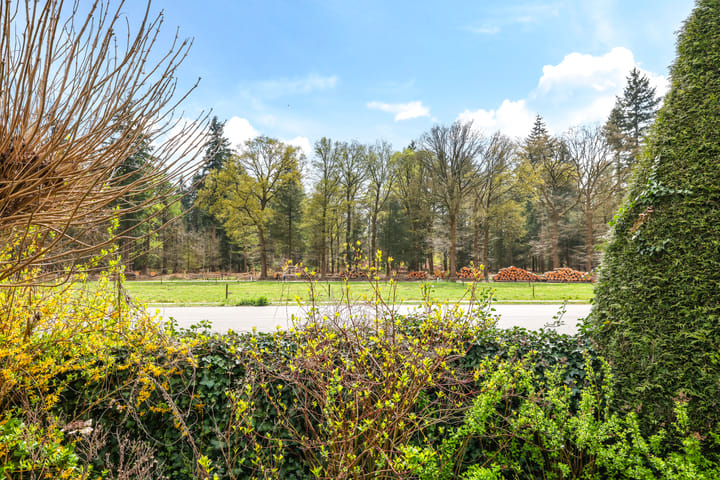 Photo 35 of Smidshoek 5