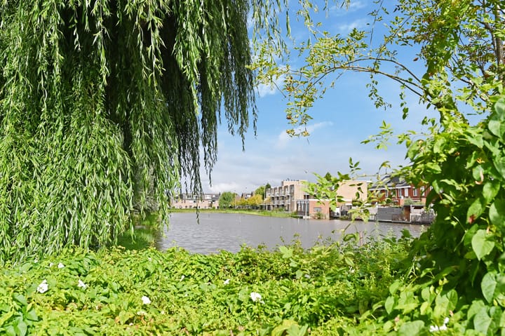 Foto 40 van Oost Buurtstraat 6