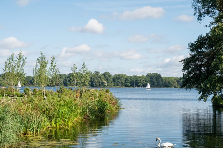 Foto 53 van Gijs van Veldhuizenlaan 140