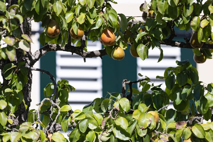 Foto 40 van Kelderweg 13