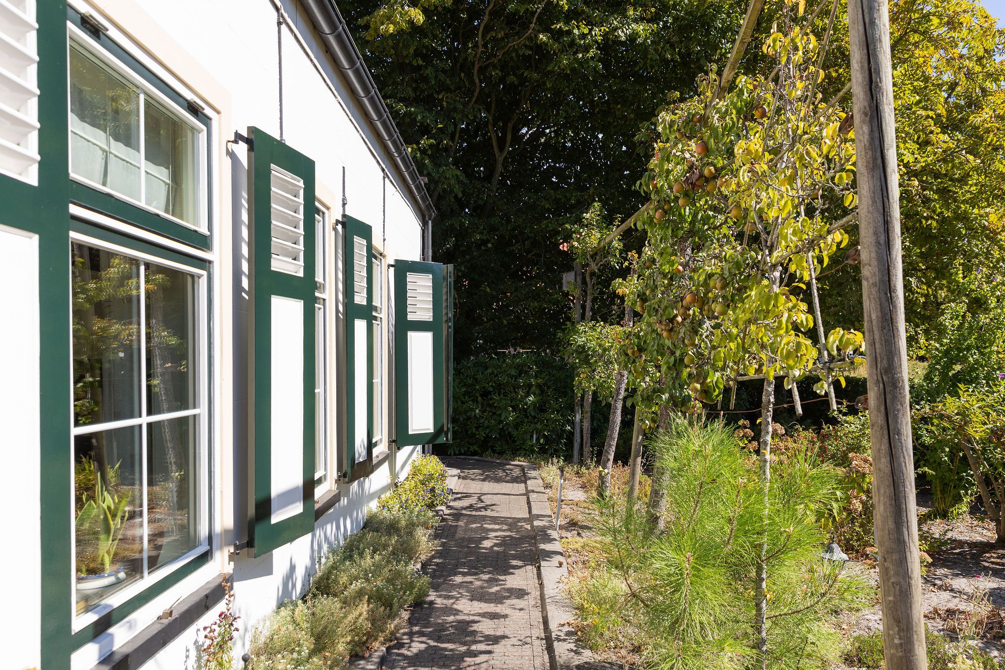 Foto 42 van Kelderweg 13