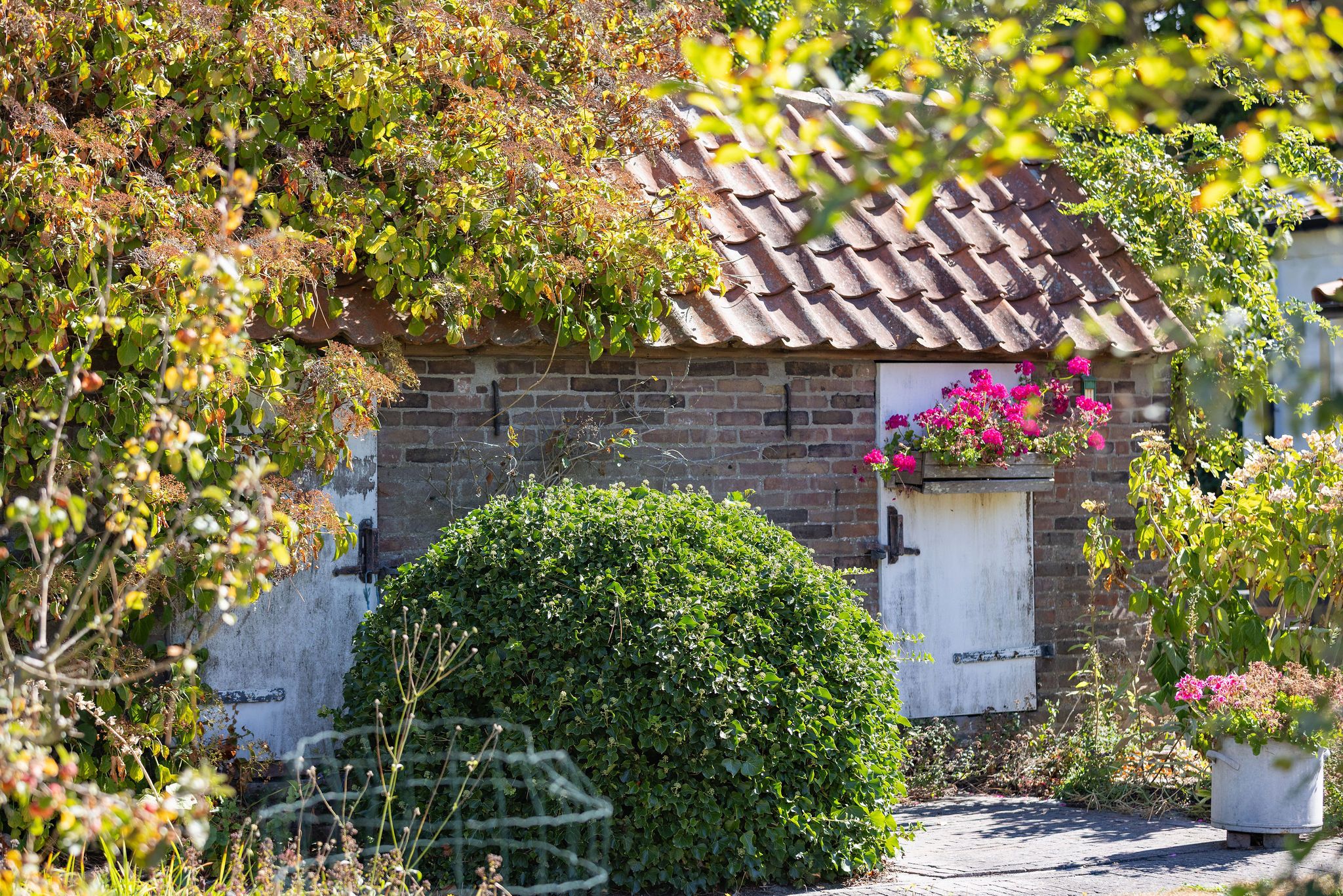 Foto 48 van Kelderweg 13