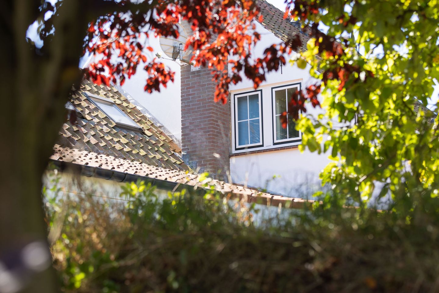 Foto 50 van Kelderweg 13