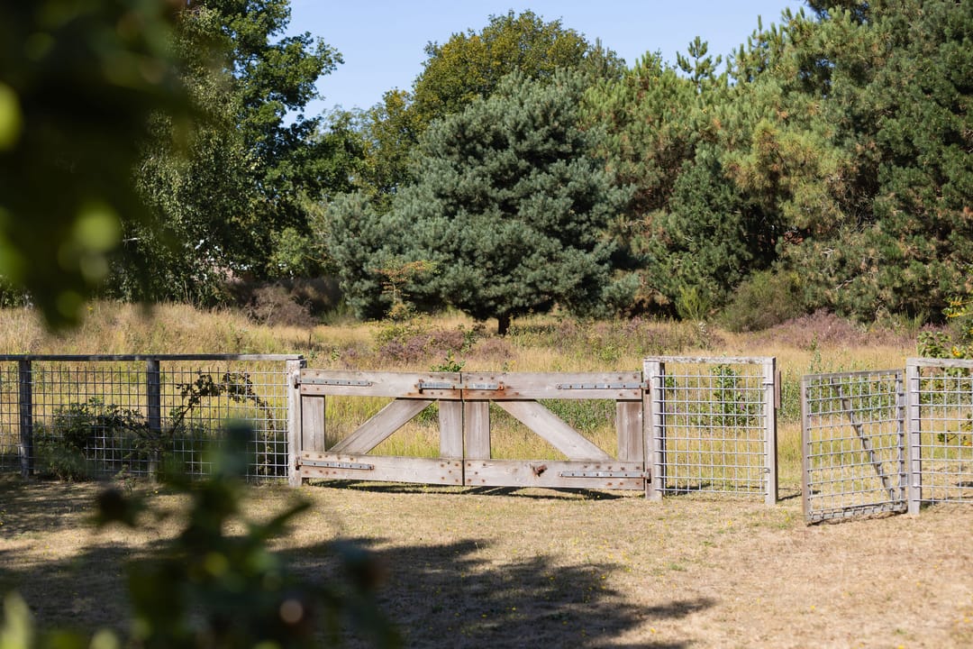 Foto 62 van Kelderweg 13