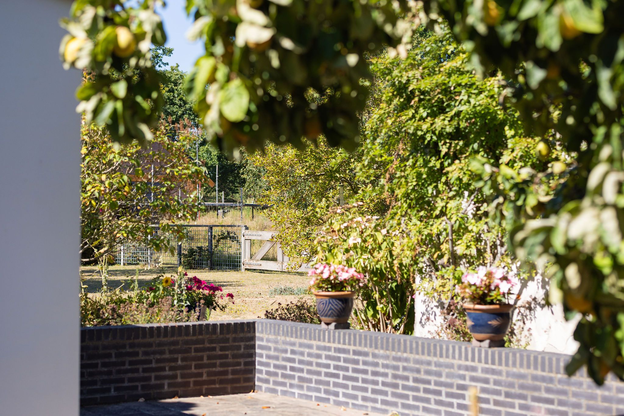 Foto 66 van Kelderweg 13