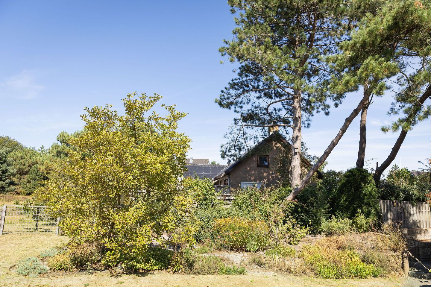 Foto 70 van Kelderweg 13