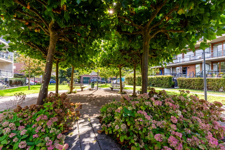 Foto 22 van Du Perronstraat 18