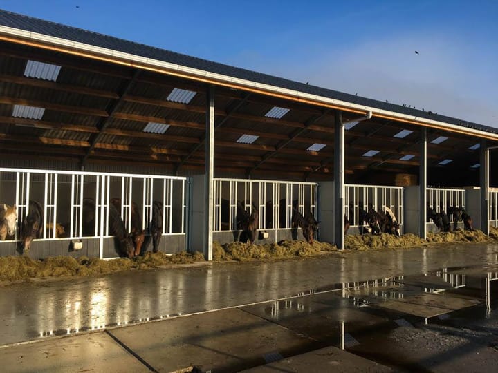 Foto 4 van Klompweg 30