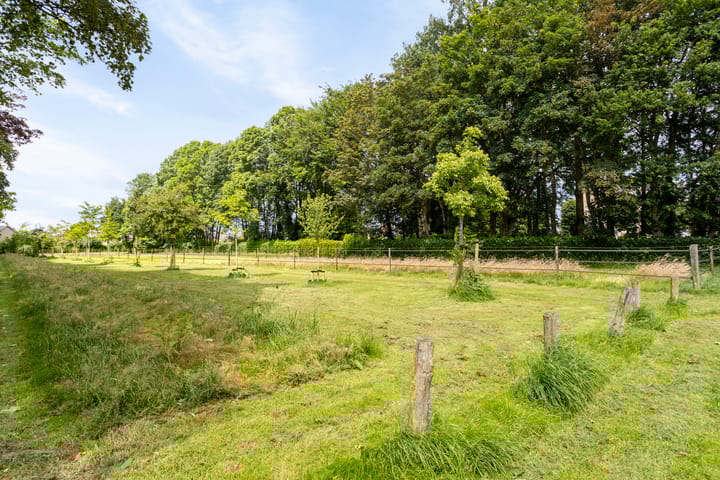 Foto 38 van Hoolstraat 67