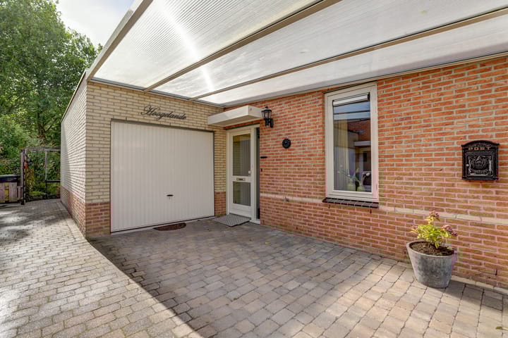 Foto 4 van Warande 74