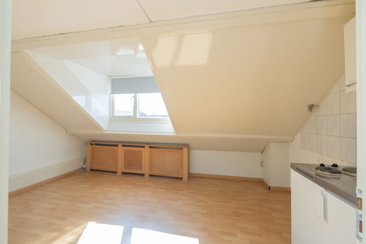 Photo 43 of Roland Holstheem 38