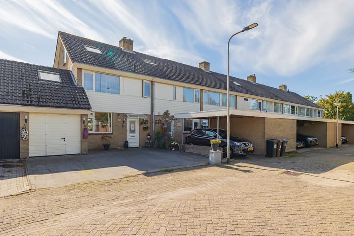 Photo 49 of Roland Holstheem 38