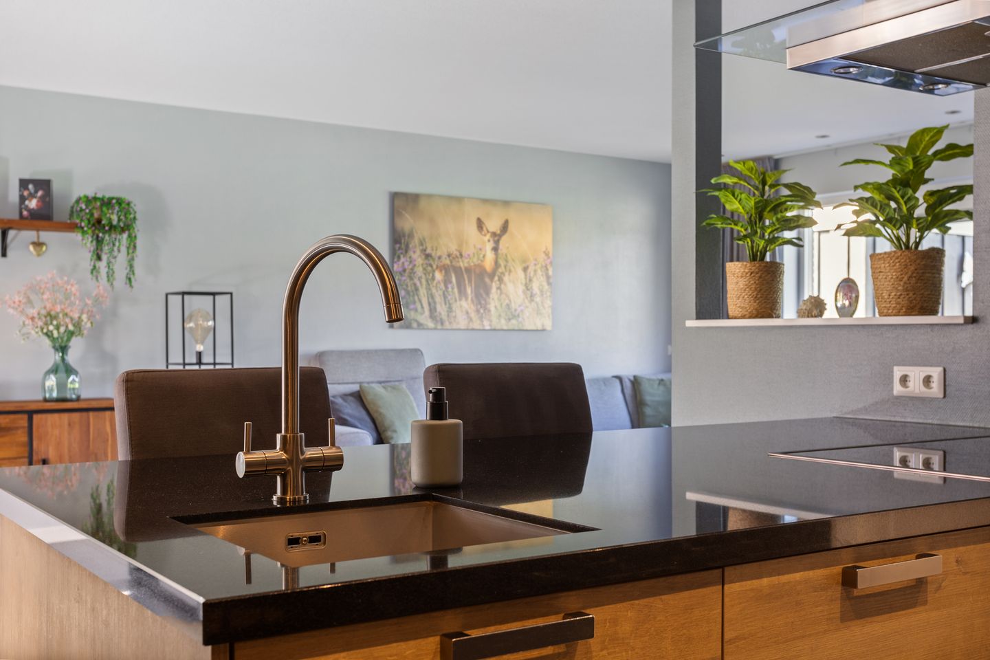 Foto 20 van Ammonietstraat 3