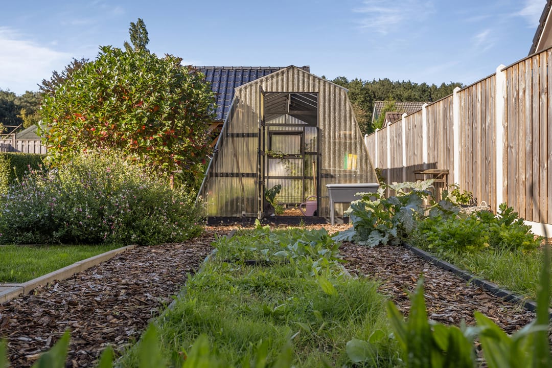 Foto 61 van Ammonietstraat 3