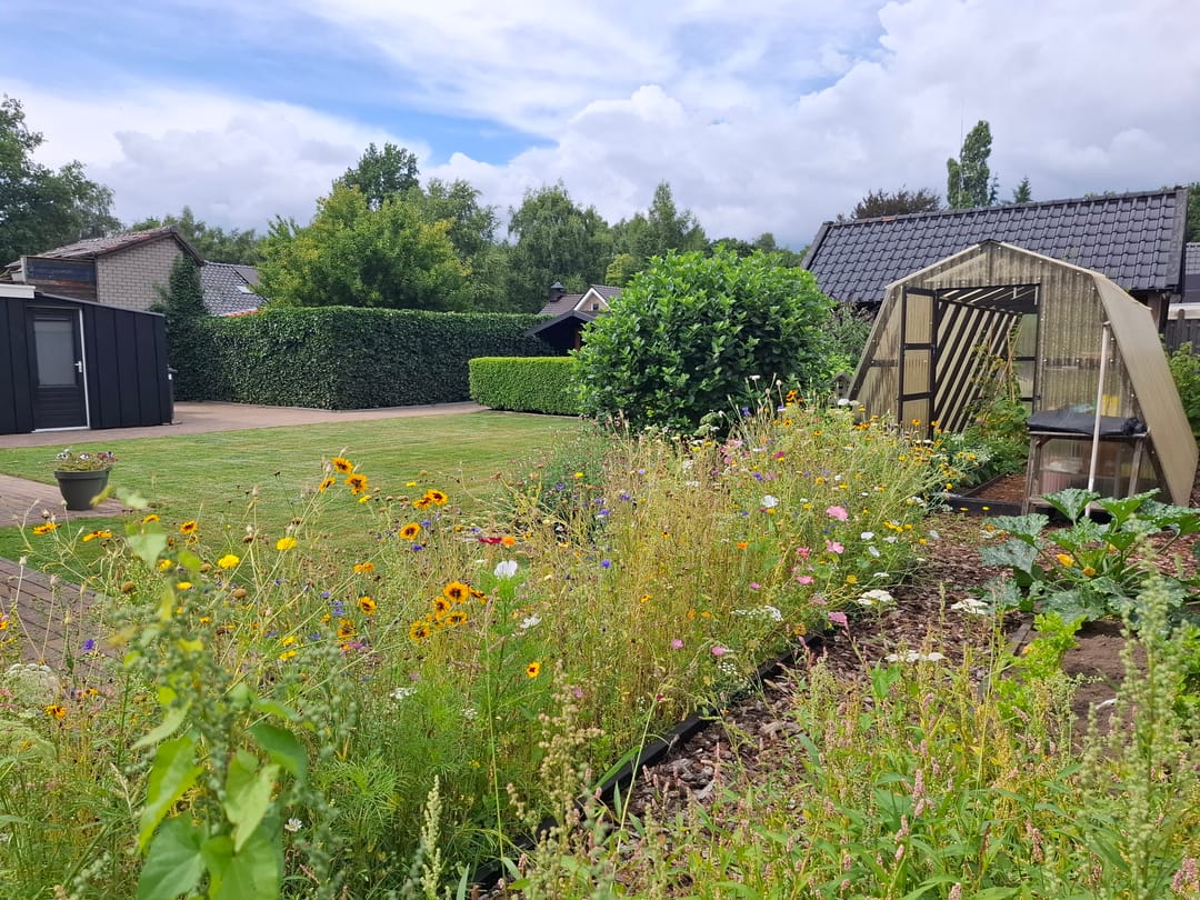 Foto 62 van Ammonietstraat 3