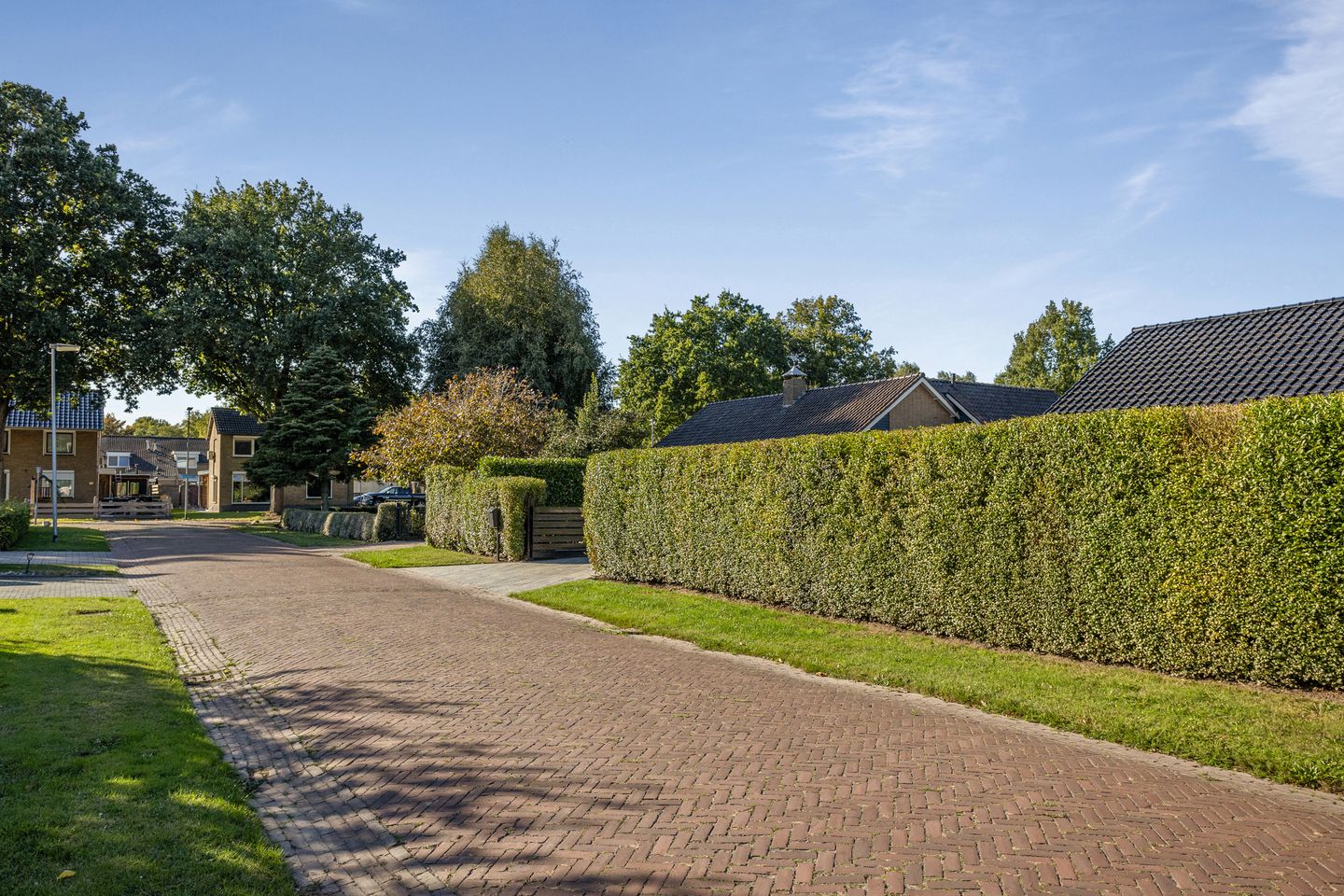 Foto 64 van Ammonietstraat 3