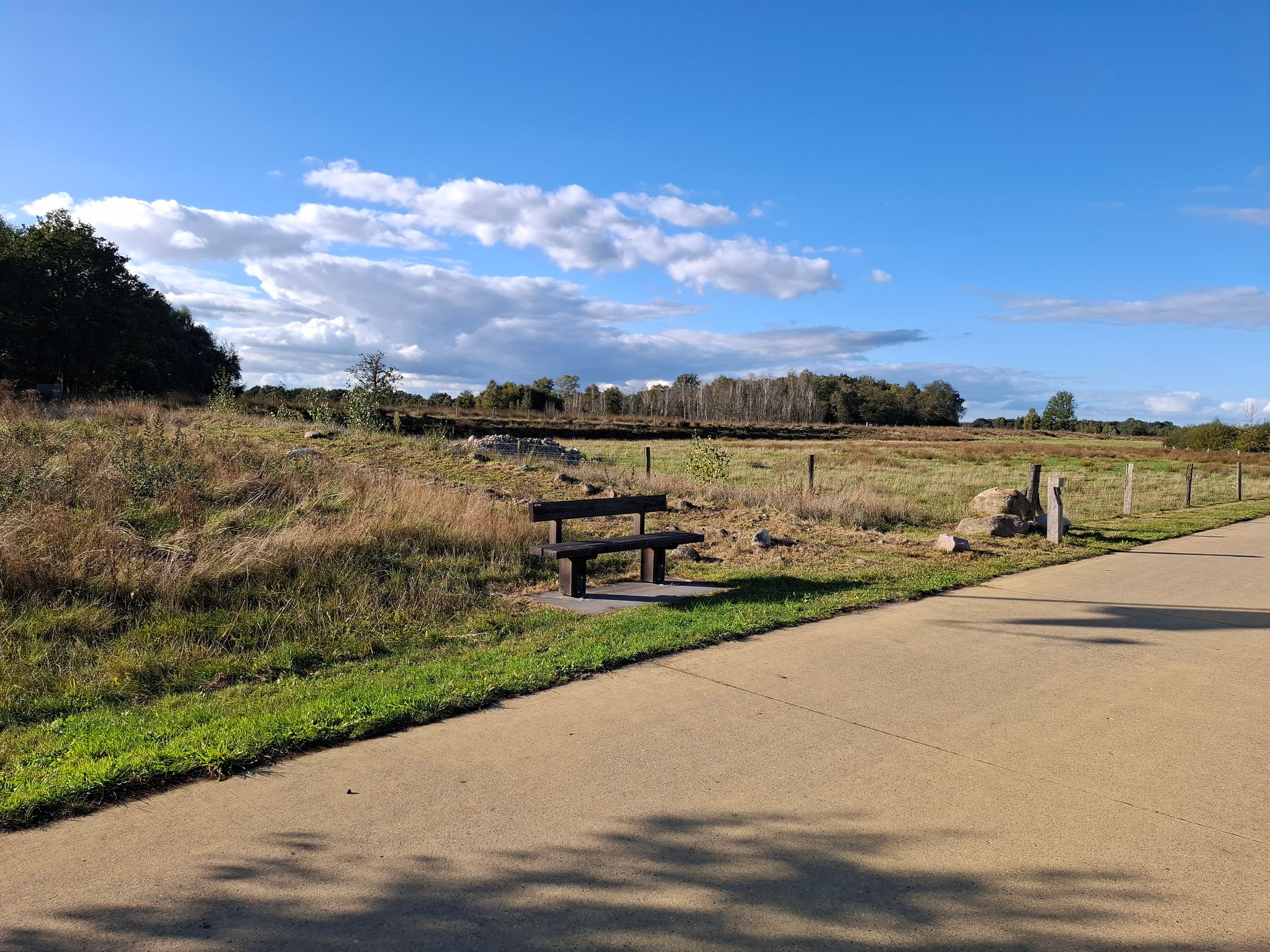 Foto 72 van Ammonietstraat 3