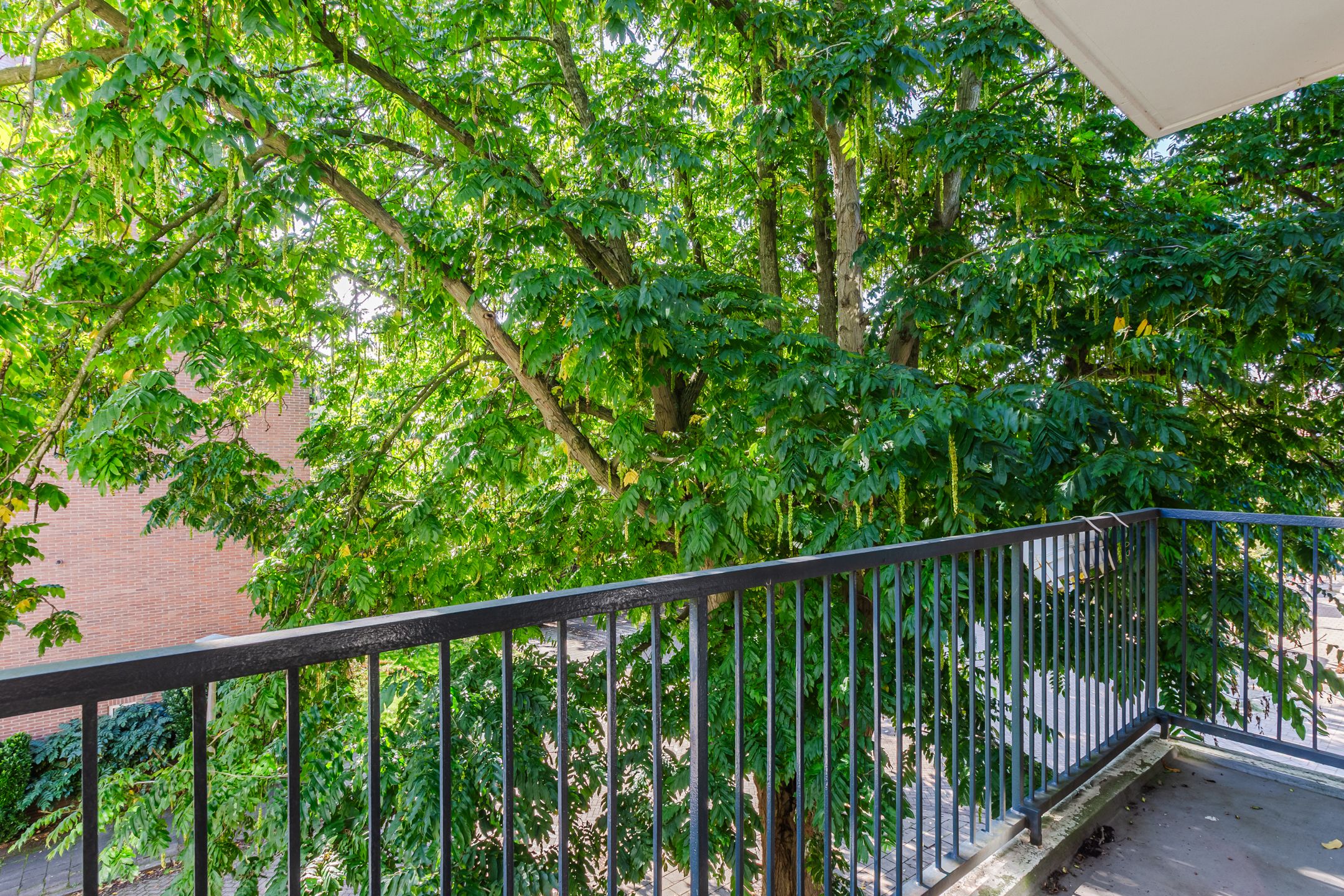 Foto 6 van Kastelenstraat 255-2