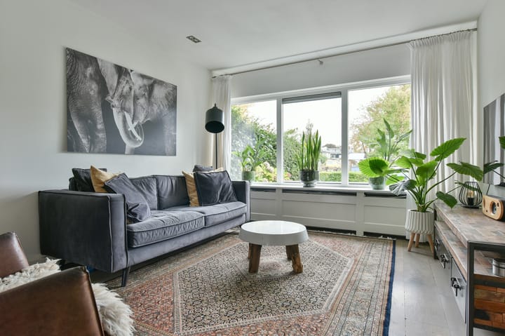 Photo 8 of Maartenplein 21