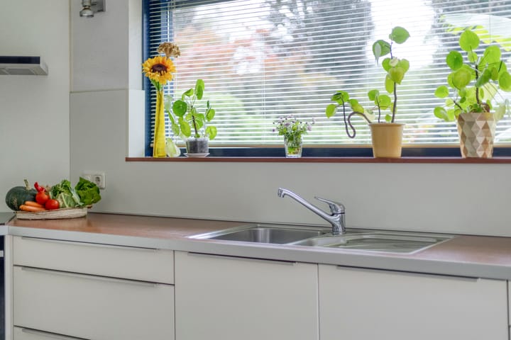 Photo 18 of De Hoorns 38