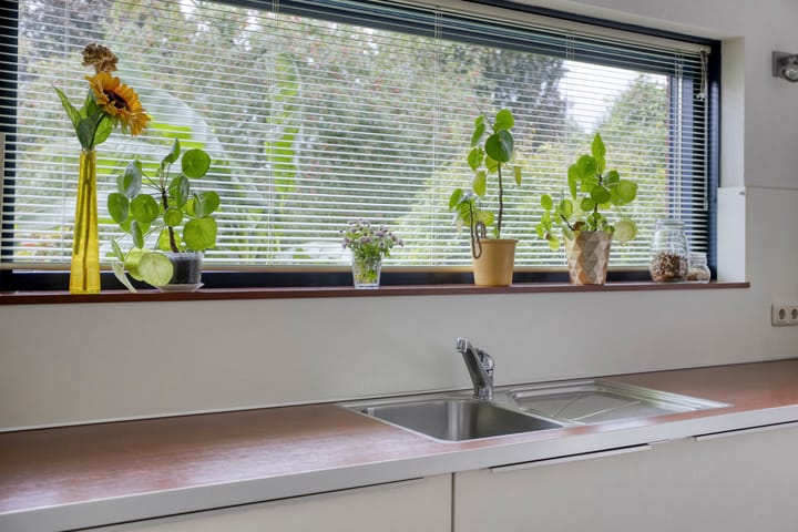 Photo 19 of De Hoorns 38