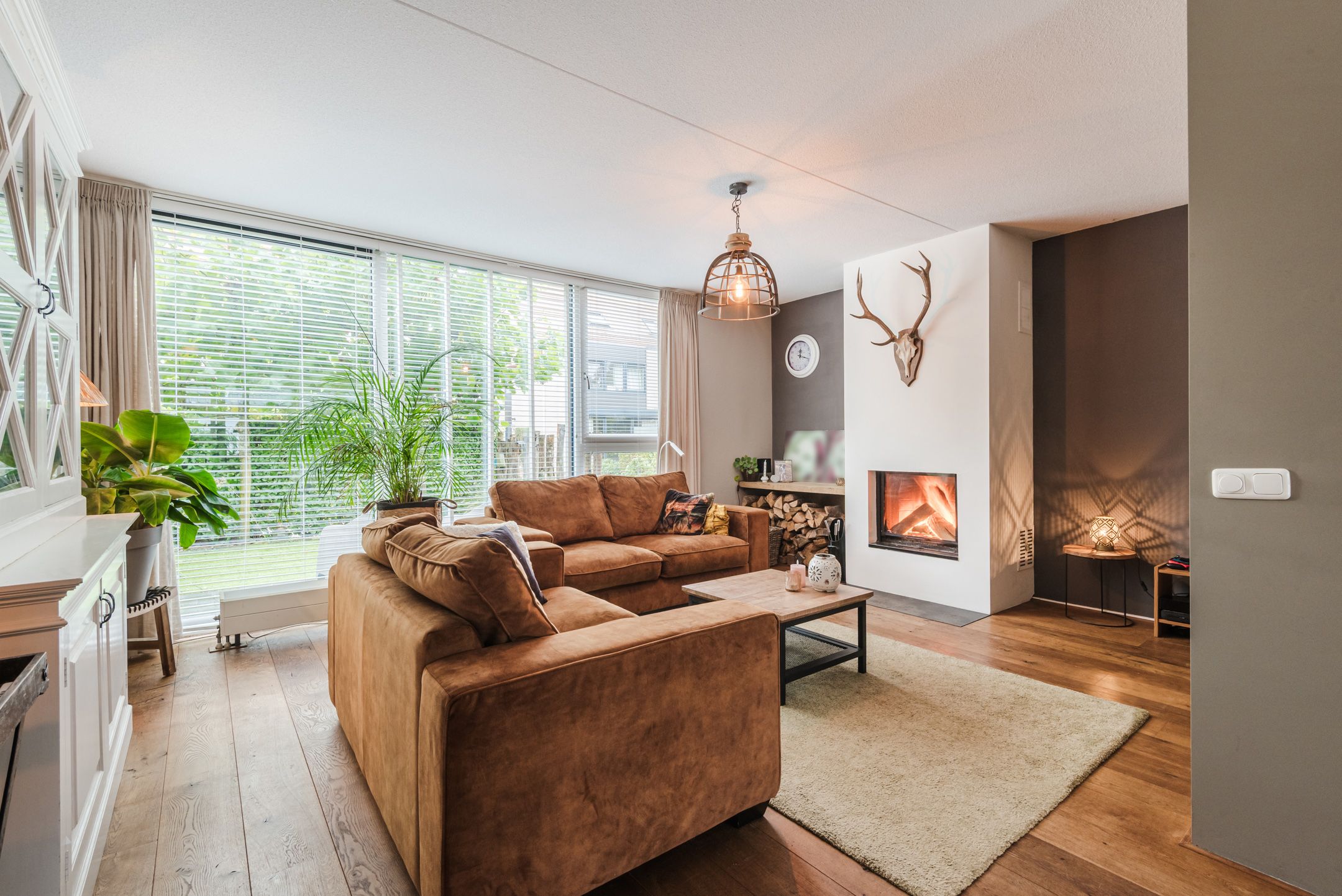 Foto 9 van Groevenbekerhout 24