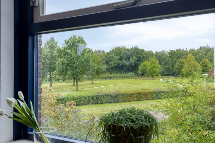 Photo 39 of De Hoorns 38