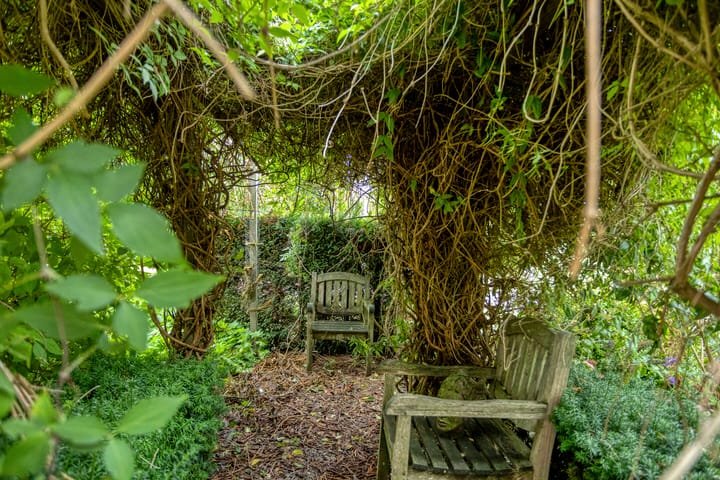 Photo 48 of De Hoorns 38