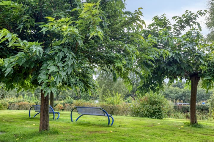 Photo 57 of De Hoorns 38