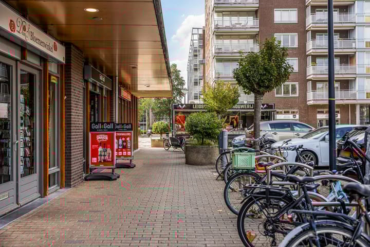 Foto 67 van Tollenaersingel 40