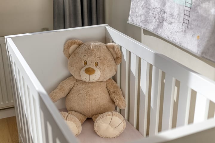 Photo 29 of het Bentman 25