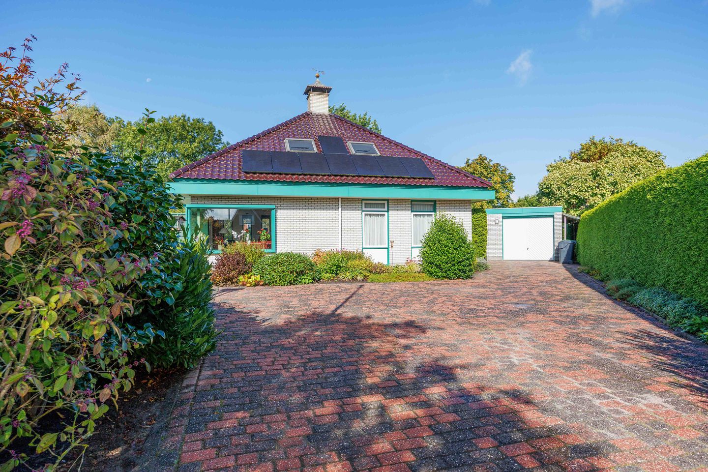 Foto 1 van Speenkruid 7