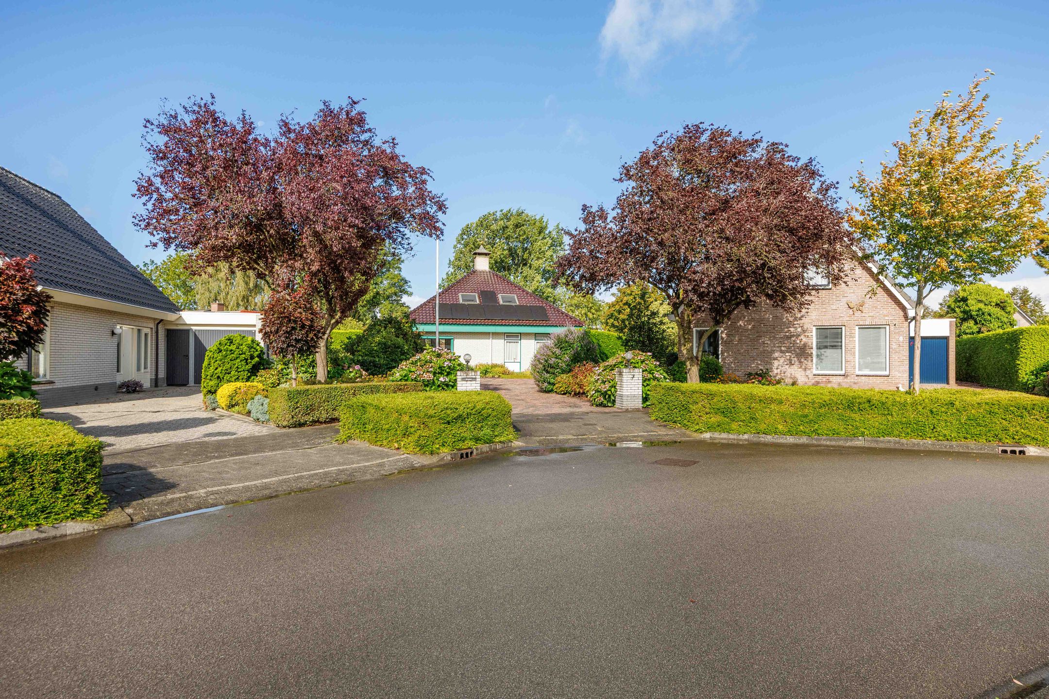 Foto 6 van Speenkruid 7