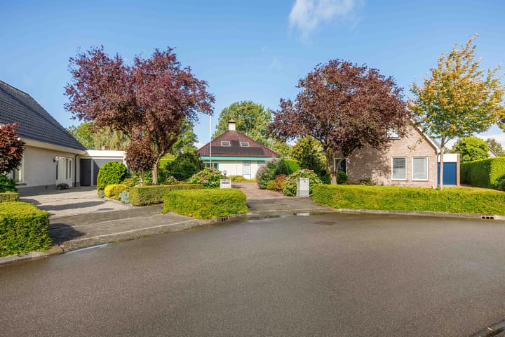 Foto 6 van Speenkruid 7