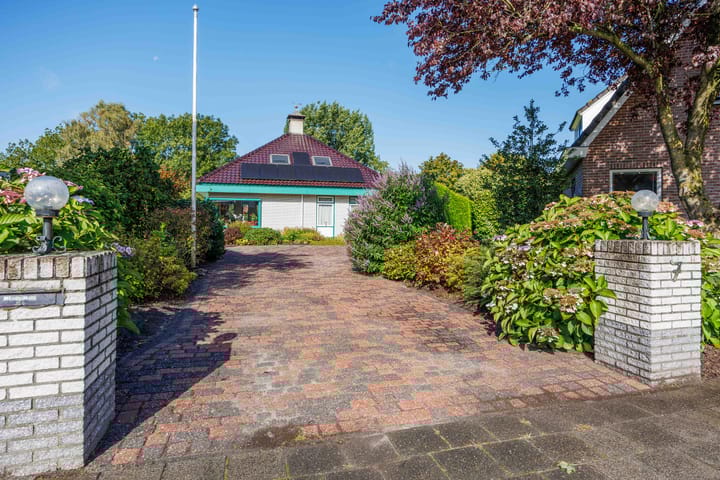 Foto 7 van Speenkruid 7