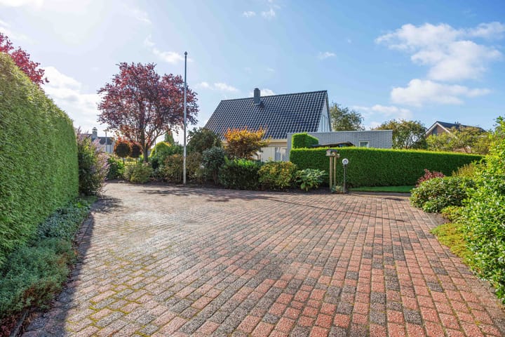 Foto 8 van Speenkruid 7