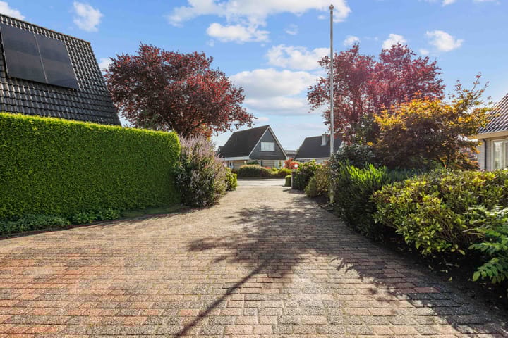 Foto 9 van Speenkruid 7