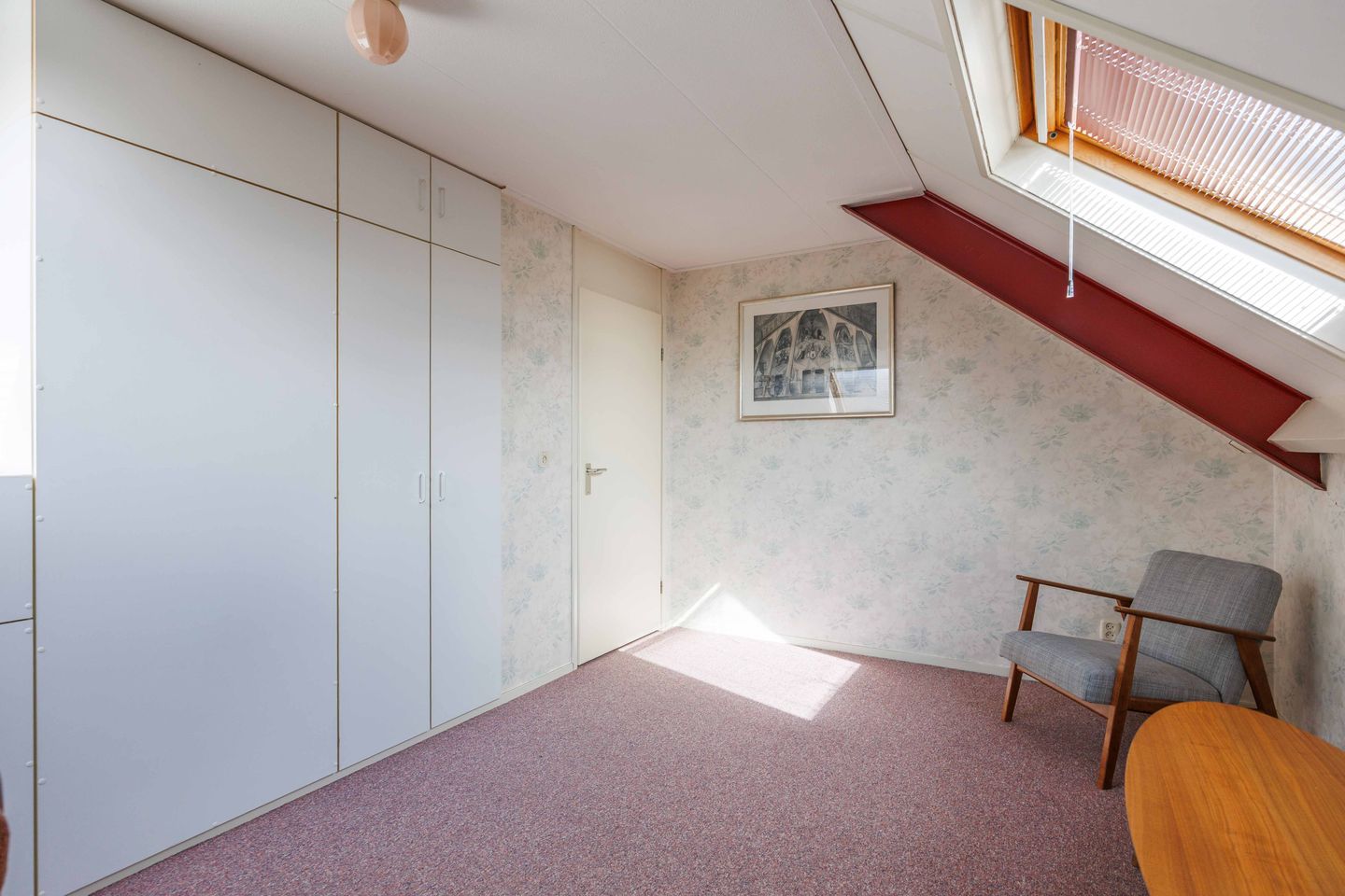 Foto 49 van Speenkruid 7