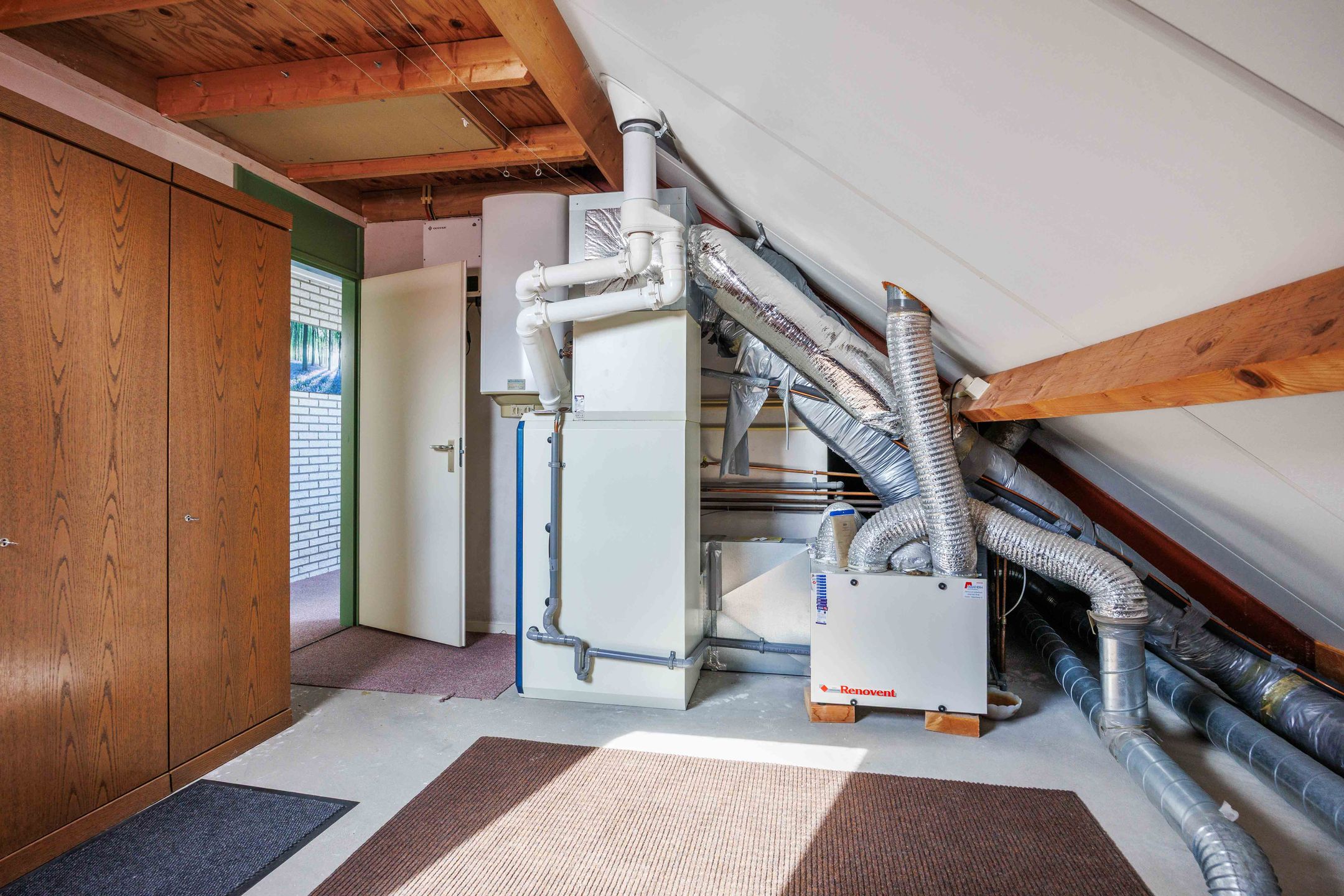 Foto 51 van Speenkruid 7