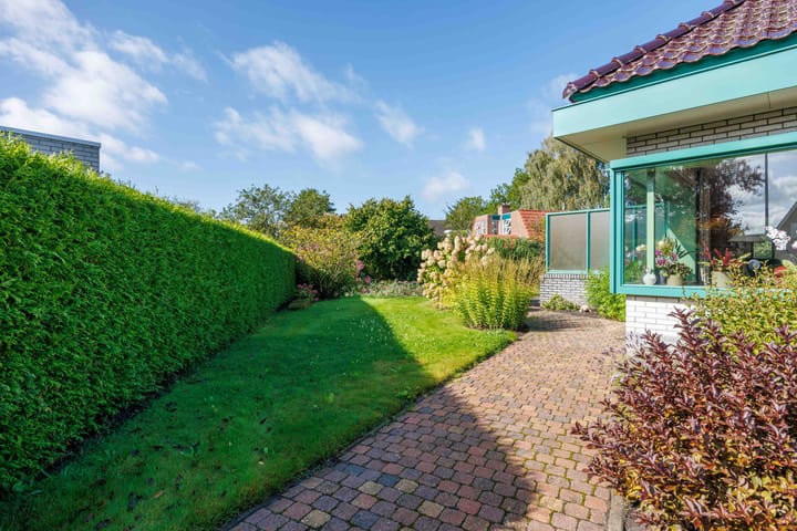 Foto 52 van Speenkruid 7