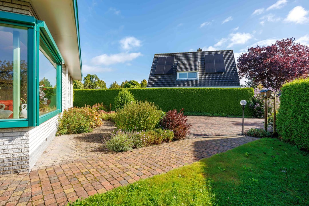 Foto 53 van Speenkruid 7