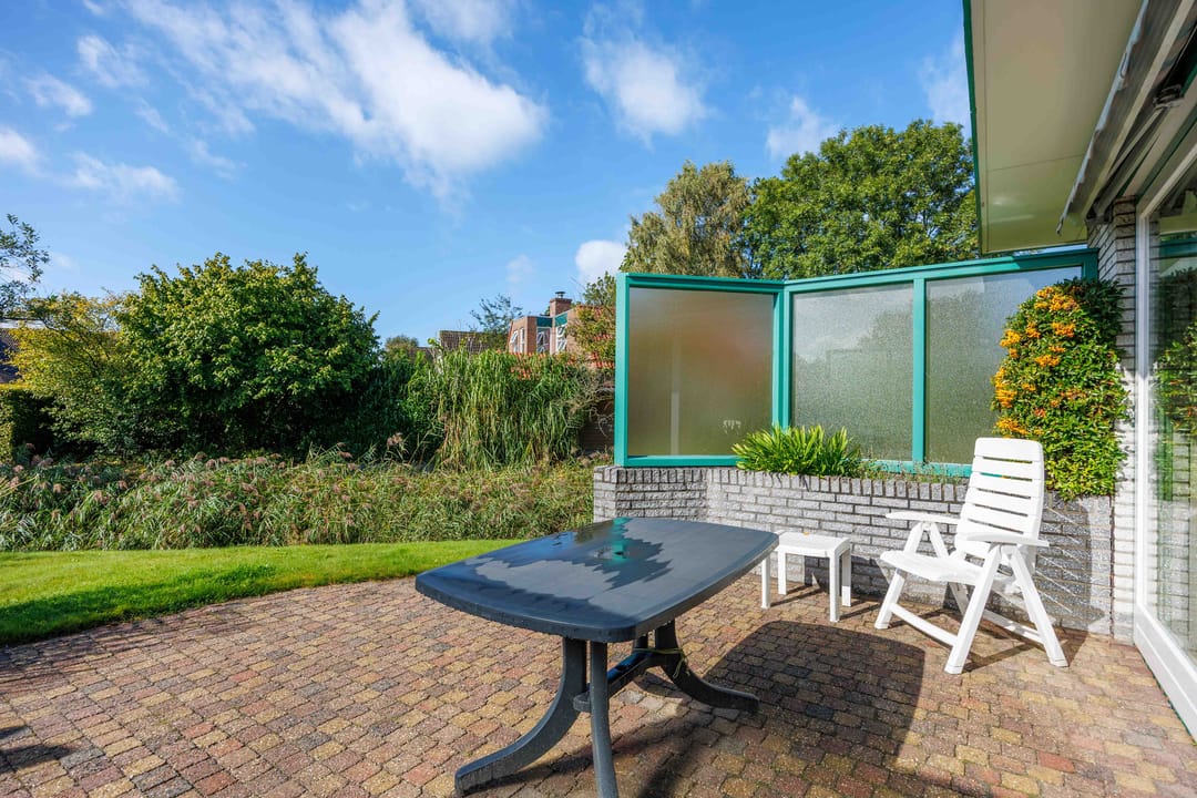 Foto 56 van Speenkruid 7